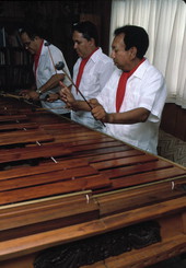 Marimba Mayalandia playing a large marimba - Orlando, Florida.