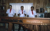 Marimba Mayalandia playing a large marimba - Orlando, Florida.