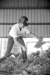 Law enforcement agents mix marijuana into wood pulp at Hiager Lumber Mill in preparation of burning confiscated drugs - Havana, Florida.