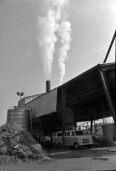 View of a Hiagor Lumber Mill - Havana, Florida.