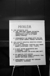 Signs lists facts on rabies quarantine - Tallahassee, Florida.