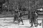Children and parents on horse swings in the park - Tallahassee, Florida.