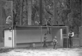 Children play on chain link fence near the dugout - Tallahassee, Florida.