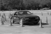 Racing car - Tallahassee, Florida.