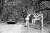 Protestors against the cutting of trees on a canopy road - Tallahassee, Florida.