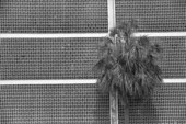 Architecture pattern on the side of a building - Tallahassee, Florida.