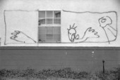 Graffiti on the side of wall - Tallahassee, Florida.