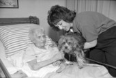 Lisa D'Assaro and Muffin carry out dog therapy with an elderly patient - Tallahassee, Florida.