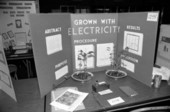Science project at a science fair - Tallahassee, Florida.