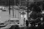 Flooded streets near Madison Street - Tallahassee, Florida.