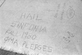 Graffiti on the sidewalk at Florida State University - Tallahassee, Florida.