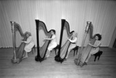 Four women play harps - Tallahassee, Florida.