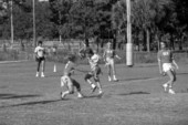 Fraternity members play flag football - Tallahassee, Florida.