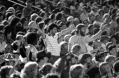 Spectators at FSU Vs Temple - Tallahassee, Florida.