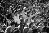 Spectators at FSU Vs Temple - Tallahassee, Florida.