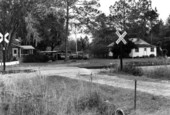 Houses by the railroad tracks- Columbia County, Florida