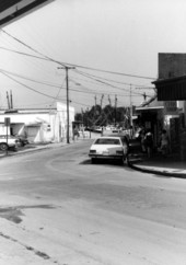 Greek Curio Shop with sponge docks in the background- Tarpon Springs, Florida
