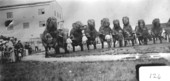 Circus elephants reared up in a row with handlers standing in front of them