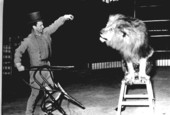 Clyde Beatty performing with lion