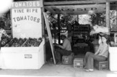Moses Williams playing the diddley bow at a vegetable stand- Waverly, Florida