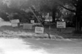 Signs in David Vander Bush's yard for fresh datil peppers - Elkton, Florida