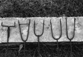 Close-up view of forks used for smoking mullet fish - Monticello, Florida