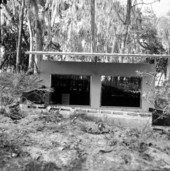 Glass viewing window into a Precolumbian burial at the main burial mound at Crystal River State Park - Crystal River, Florida