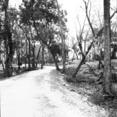Trail leading to main burial site at Crystal River State Park - Crystal River, Florida