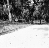 Main burial site at Crystal River State Park - Crystal River, Florida