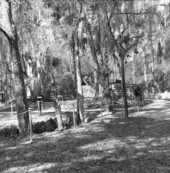 View of Yulee Sugar Mill Ruins Historic State Park - Homosassa, Florida