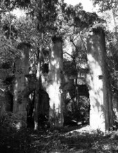View of Bulow Plantation Ruins Historic State Park - Bunnell, Florida