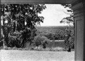 View of Apalachicola River in Torreya State Park - Rock Bluff, Florida