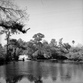 Estero River at Koreshan Historic State Park - Estero, Florida