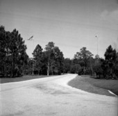 Park drive at Koreshan Historic State Park - Estero, Florida
