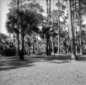 Picnic area at Koreshan Historic State Park - Estero, Florida