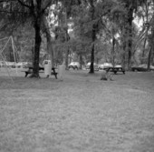 Picnic grounds at Ichetucknee Springs State Park - Columbia County, Florida