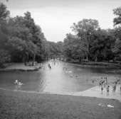 Swimming in spring at Ichetucknee Springs State Park - Columbia County, Florida