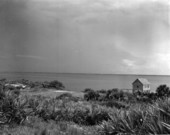 View looking southwest at the old boathouse in John Bartram State Park - Volusia County, Florida.