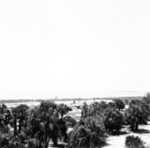Aerial view of Caladesi Island State Park - Dunedin, Florida