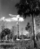 Oil well in the Everglades