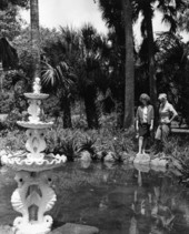 Visitor at Washington Oaks Gardens State Park - Palm Coast, Florida