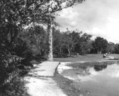 Chekika State Recreation Area (Grossman Hammock) - Dade County, Florida