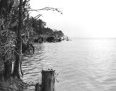 View of Fred Gannon Rocky Bayou State Park - Niceville, Florida.