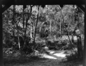 Woman beside river at Hillsborough River State Park - Hillsborough County, Florida