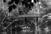 Bridge over river at Hillsborough River State Park - Hillsborough County, Florida
