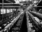 Floridagold canning plant - Dundee, Florida