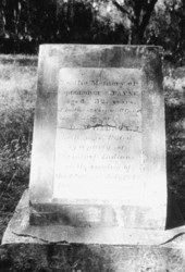 Monument to the memory of Captain George S. Payne - Wauchula, Florida