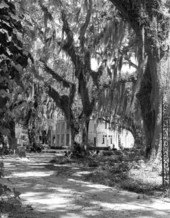 Eden Gardens State Park mansion - Point Washington, Florida