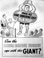Florida Citrus Commission poster