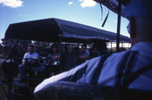 View showing tourists in a Billie Swamp Safari buggy vehicle at the Big Cypress Seminole Indian Reservation.